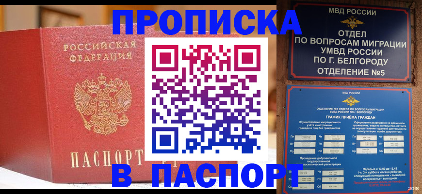 временная регистрация в квартире в Московской области